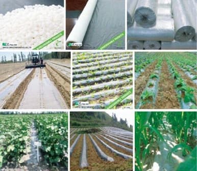 Membrane products